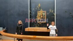 Environmental activists throw soup on glass-protected Mona Lisa in Paris - AFP