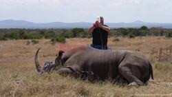 World's First Successful 'Rhino IVF' Pregnancy Gives Northern White Rhinos New Hope