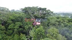 Amazon Treehouse Is World's Most Spectacular Classroom And Luxury Retreat