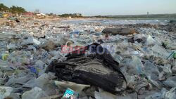 Trash tidal wave coats normally pristine Bali beach - AFP