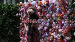 Dogs recreate Met Gala looks at New York's 'Pet Gala' - AFP