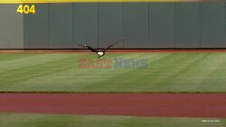 Cincinnati Reds' Sam The Bald Eagle Retires After 20 Years At The Plate