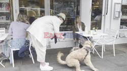 *EXCLUSIVE* Alison Janney falls in love with a cute dog outside a cafe in London.