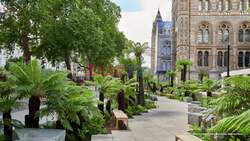 Fern The Diplodocus Crowns Natural History Museum's New Gardens