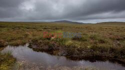 Scottish Bog Gains World Heritage Status After Decades of Effort