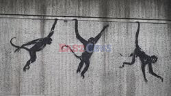 Three monkeys: Banksy wows London with third animal artwork - AFP