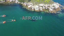 Humpback whale freed from Sydney Harbour after 22-hour ordeal- AFP