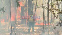 Fires rage on the outskirts of Brasilia - AFP