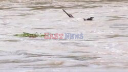 Poland's Oder river at very high level following heavy floods - AFP