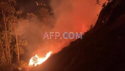 Parts of Quito under ash and smoke as Ecuador fires continue - AFP