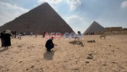 Stray dogs in Giza become tourist draw after 'pyramid puppy' sensation - AFP