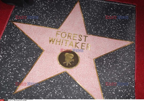 Forest Whitaker otrzymał gwiazdę na Bulwarze Sławy