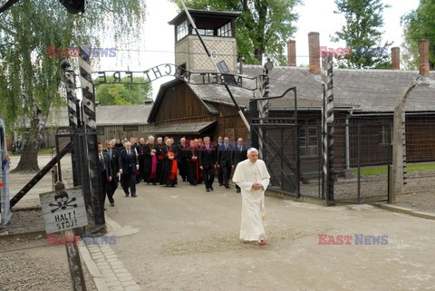 Auschwitz - Birkenau