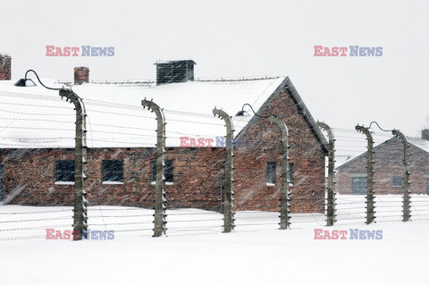 Obóz koncetracyjny Auschwitz-Birkenau