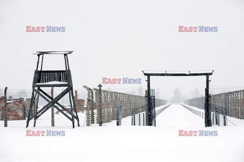 Obóz koncetracyjny Auschwitz-Birkenau