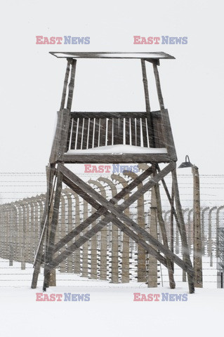 Obóz koncetracyjny Auschwitz-Birkenau