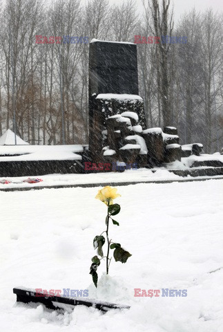 Obóz koncetracyjny Auschwitz-Birkenau