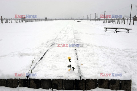 Obóz koncetracyjny Auschwitz-Birkenau