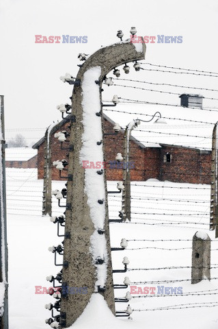 Obóz koncetracyjny Auschwitz-Birkenau