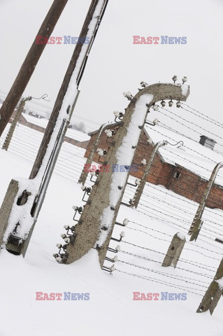 Obóz koncetracyjny Auschwitz-Birkenau