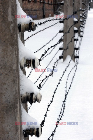 Obóz koncetracyjny Auschwitz-Birkenau