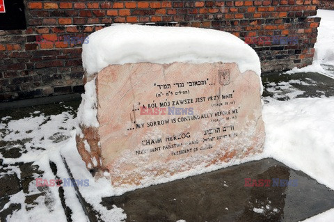 Obóz koncetracyjny Auschwitz-Birkenau