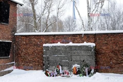 Obóz koncetracyjny Auschwitz-Birkenau