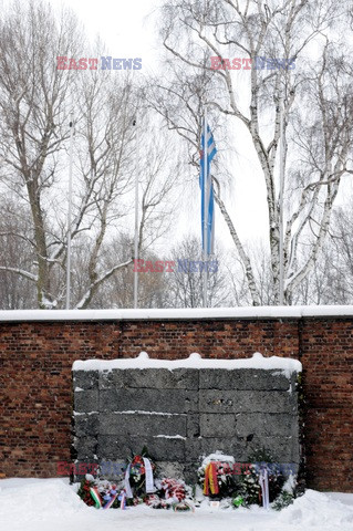 Obóz koncetracyjny Auschwitz-Birkenau