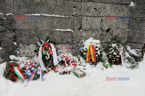 Obóz koncetracyjny Auschwitz-Birkenau