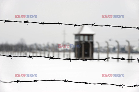 Obóz koncetracyjny Auschwitz-Birkenau