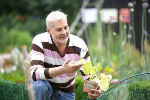 Stock pictures