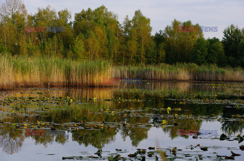 Mazowsze Marek Bazak