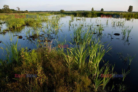 MAZOWSZE AdLa