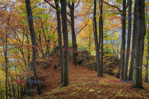 Ojcowski Park Narodowy Adam Ławnik