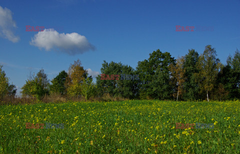 Świętokrzyskie MaBa