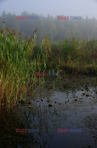 Mazowsze Marek Bazak