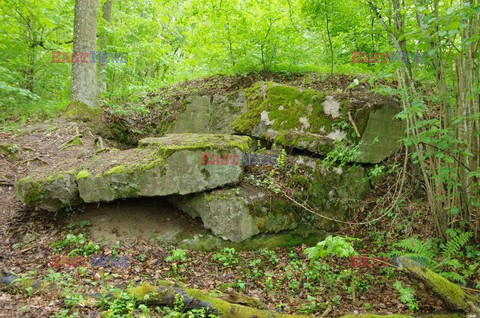 Podlasie Marek Bazak