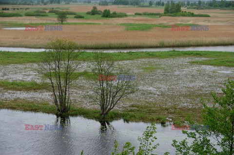 Podlasie Marek Bazak