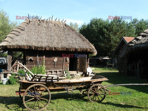 Polska JoGa