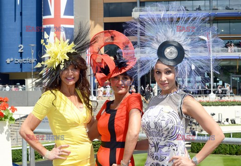 Royal Ascot race