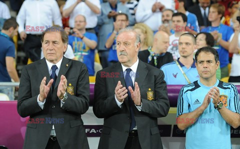 Celebrities at Euro 2012