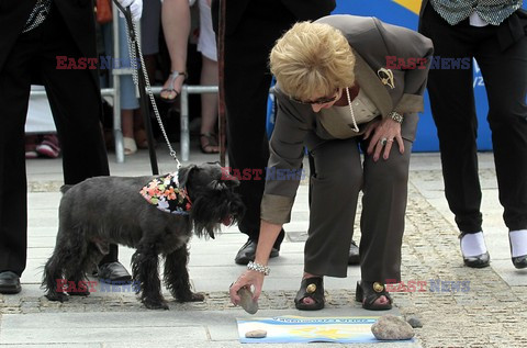 Festiwal Gwiazd Międzyzdroje 2012