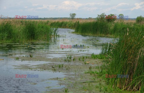 Podlasie Marek Bazak