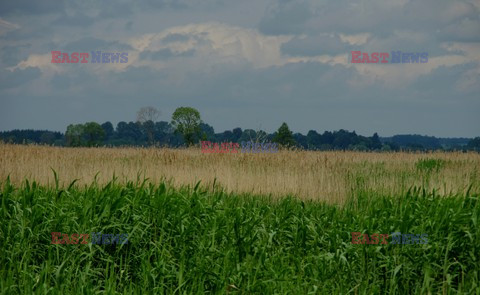 Podlasie Marek Bazak