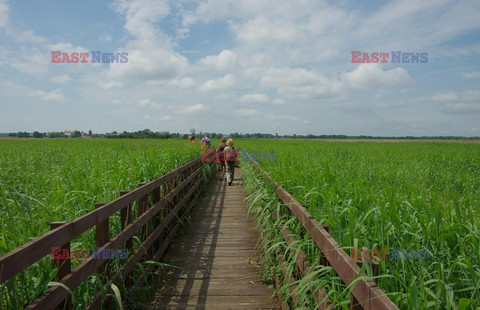 Podlasie Marek Bazak