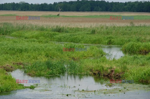 Podlasie Marek Bazak