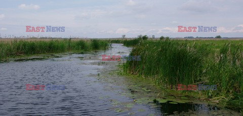 Podlasie Marek Bazak