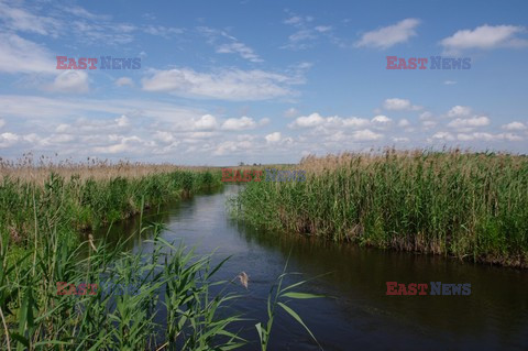 Podlasie Marek Bazak