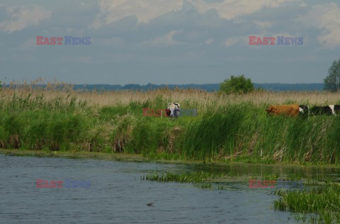 Podlasie Marek Bazak