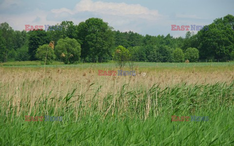 Podlasie Marek Bazak